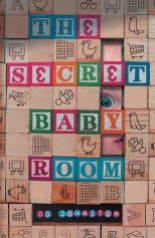 Secret Baby Room cover